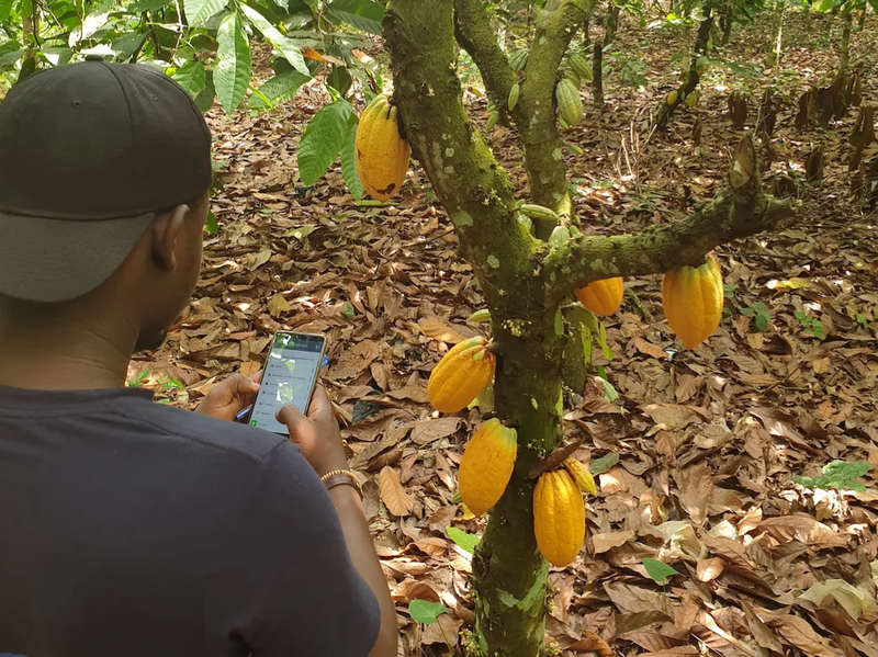 Gaiachain app test of the traceability feature in the field. Source: medium.com