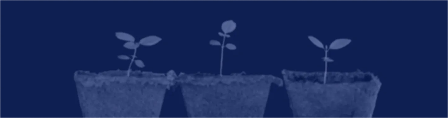 Series A Funding (Growth & Scaling) | Startup Basics baner