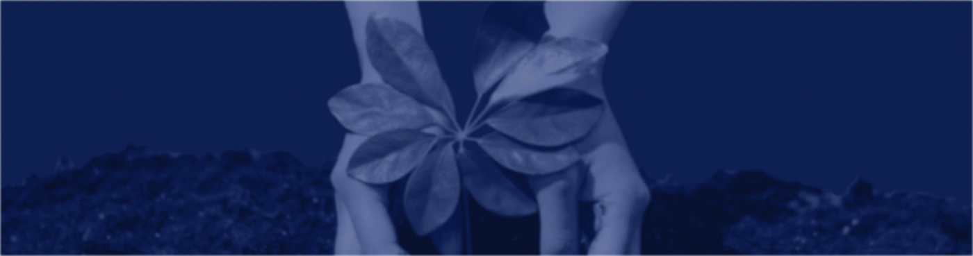 Series B Funding (Expansion & Market Domination) | Startup Basics banner