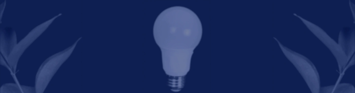 Pre-Seed Funding (Idea Stage) | Startup Basics banner