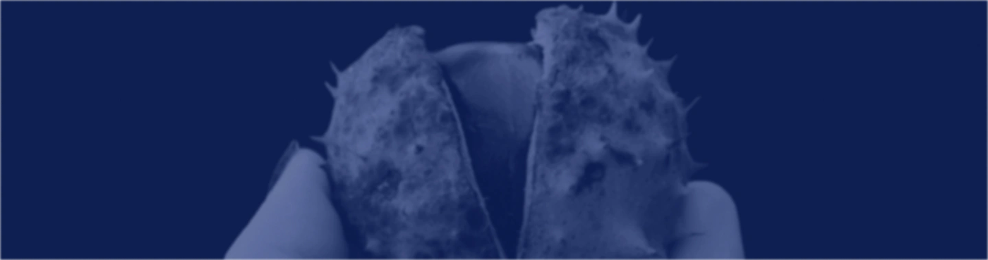 Seed Round (Early Traction Stage) | Startup Basics banner