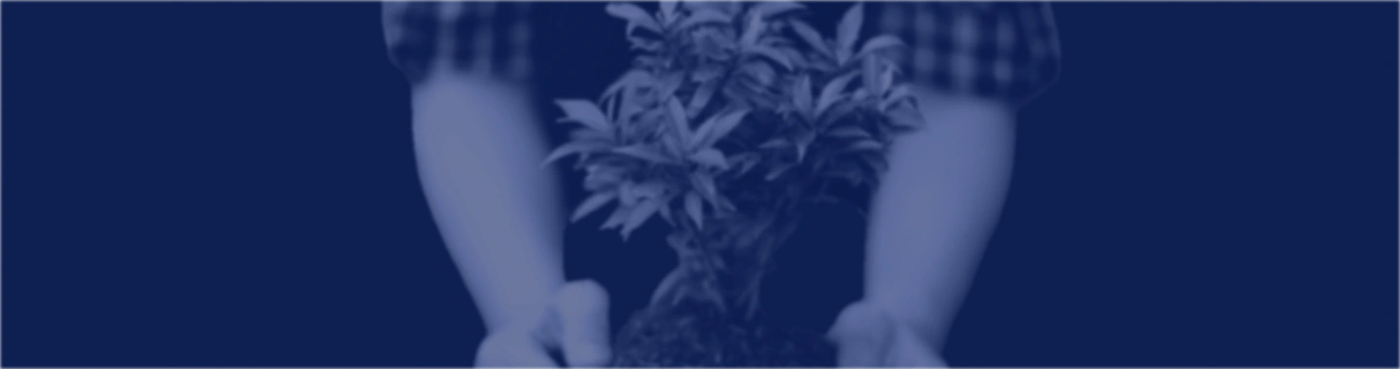 Series C Funding (Hypergrowth & Pre-IPO) | Startup Basics banner