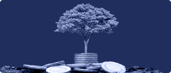 What is an IPO (Initial Public Offering) | Startup Basics