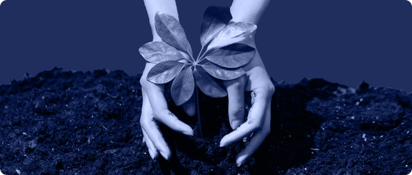 Series B Funding (Expansion & Market Domination) | Startup Basics