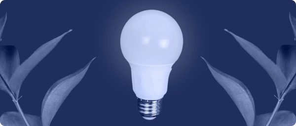 Pre-Seed Funding (Idea Stage) | Startup Basics